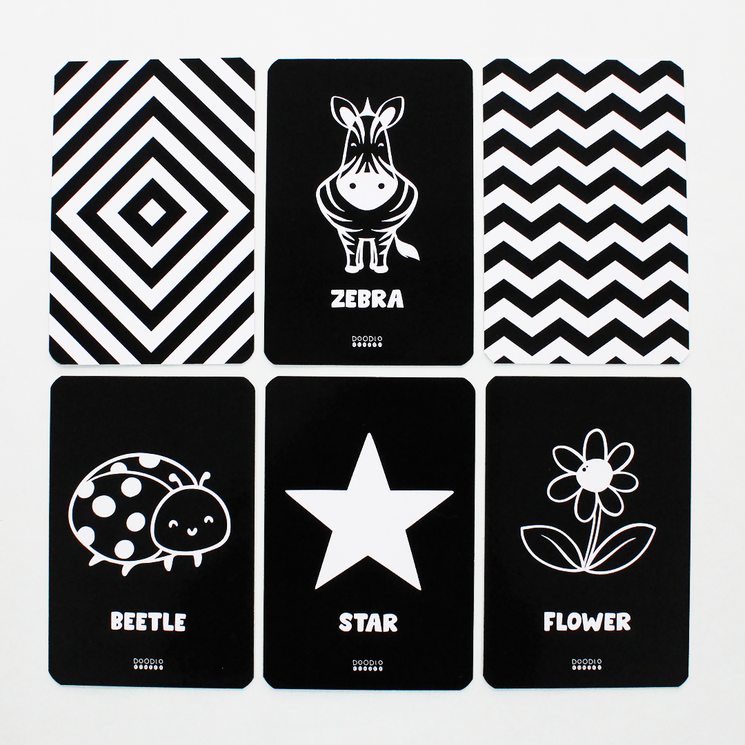 Balck & white flash cards with doodle illustration, beetle, star, flower ,zebra